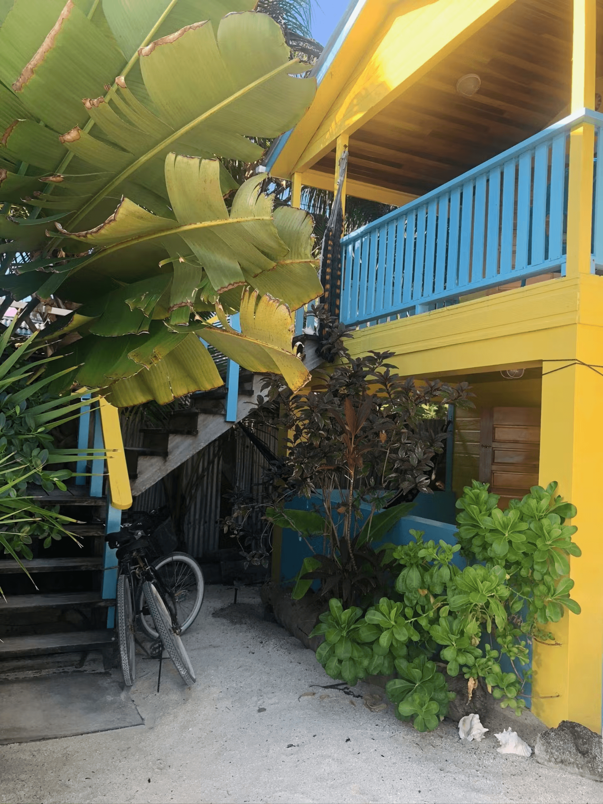 Exterior of a colorful blue and yellow cabana with stairs leading to second level, surrounded by tro