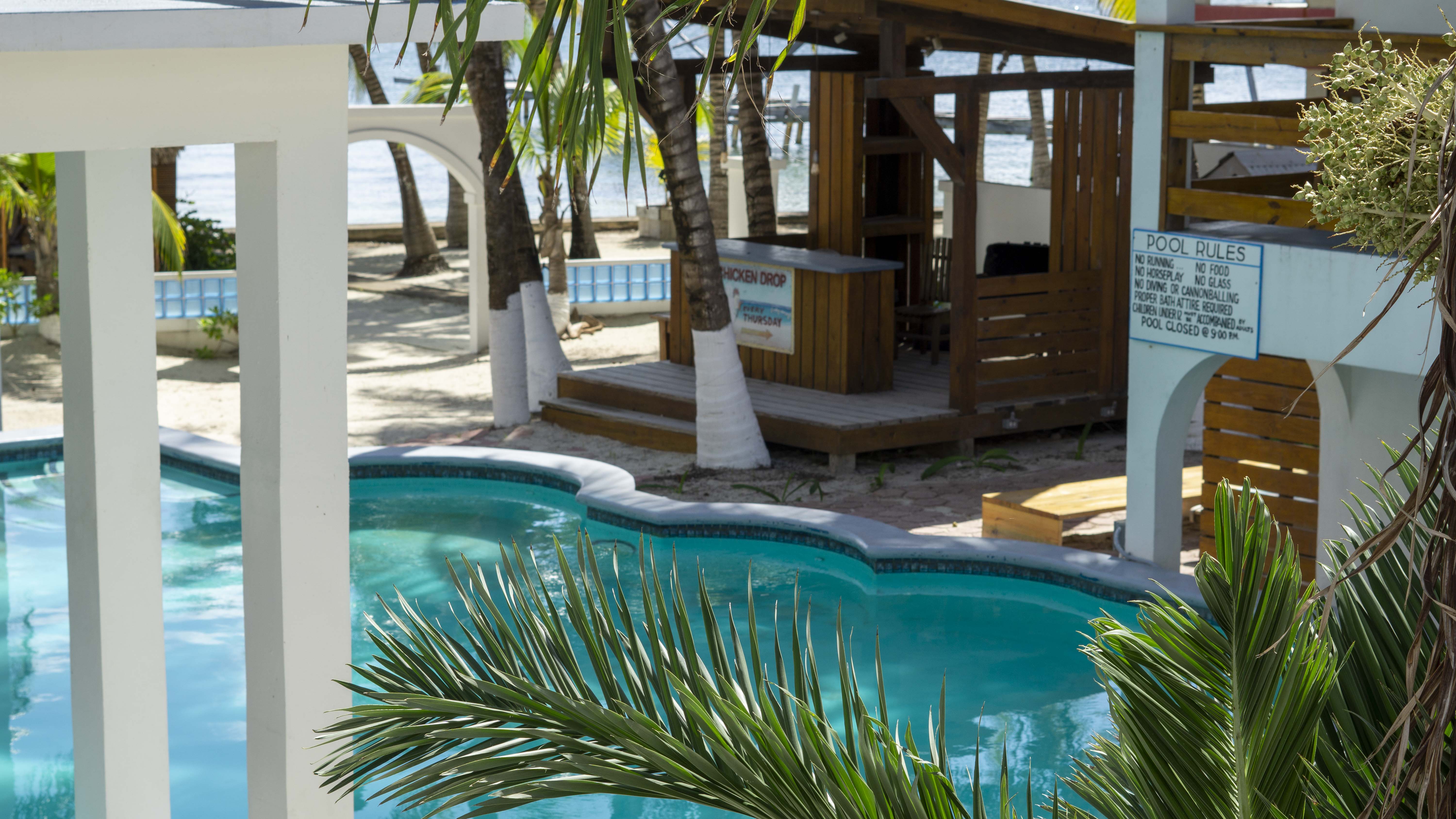 A serene poolside view of a tropical resort, with palm trees, and the ocean visible in the backgrou
