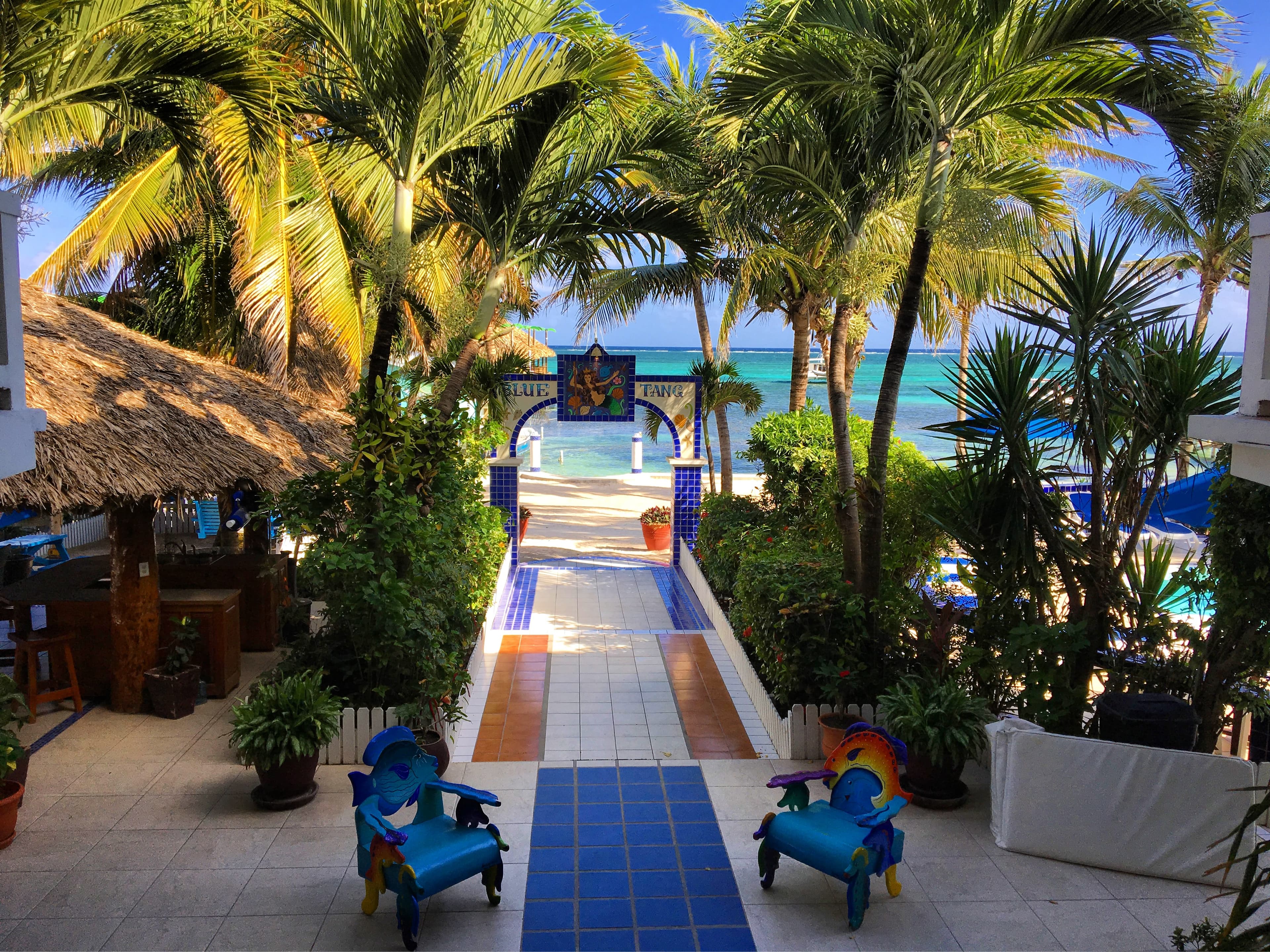 A paved pathway lined with tropical plants and palm trees leading towards a sandy beach and turquois