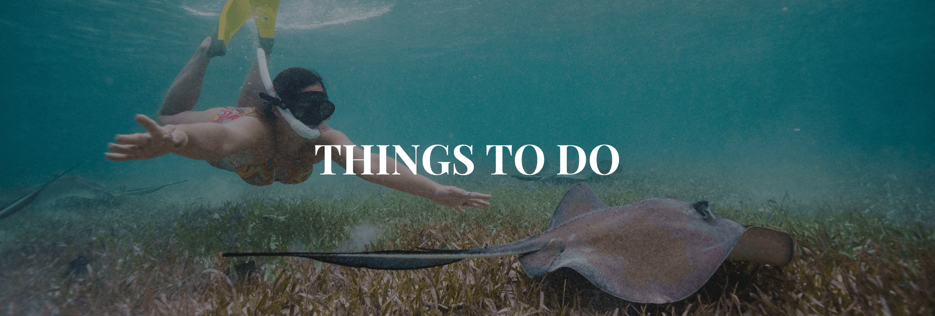 A snorkeler swims near a stingray in clear water.