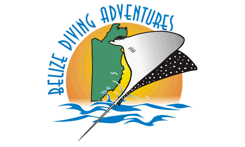 Logo of Belize Diving Adventures featuring a stingray and a map of Belize against a sunset backdrop.