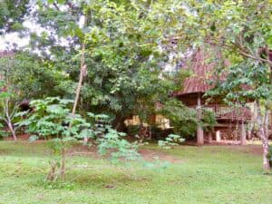 A lush, green landscape featuring trees and a structure in the background.
