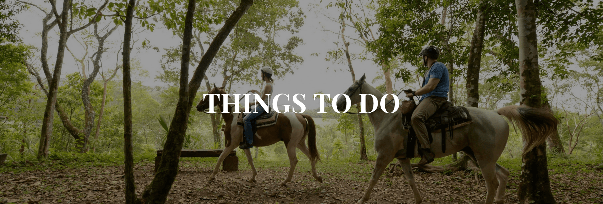 Two people horseback riding through a lush forest.