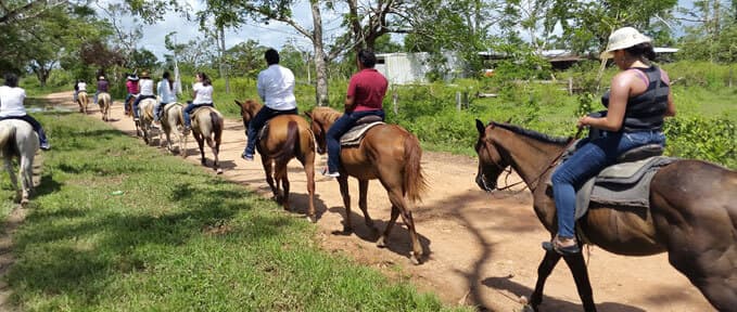 A group of people riding horses along a dirt path in a rural setting.