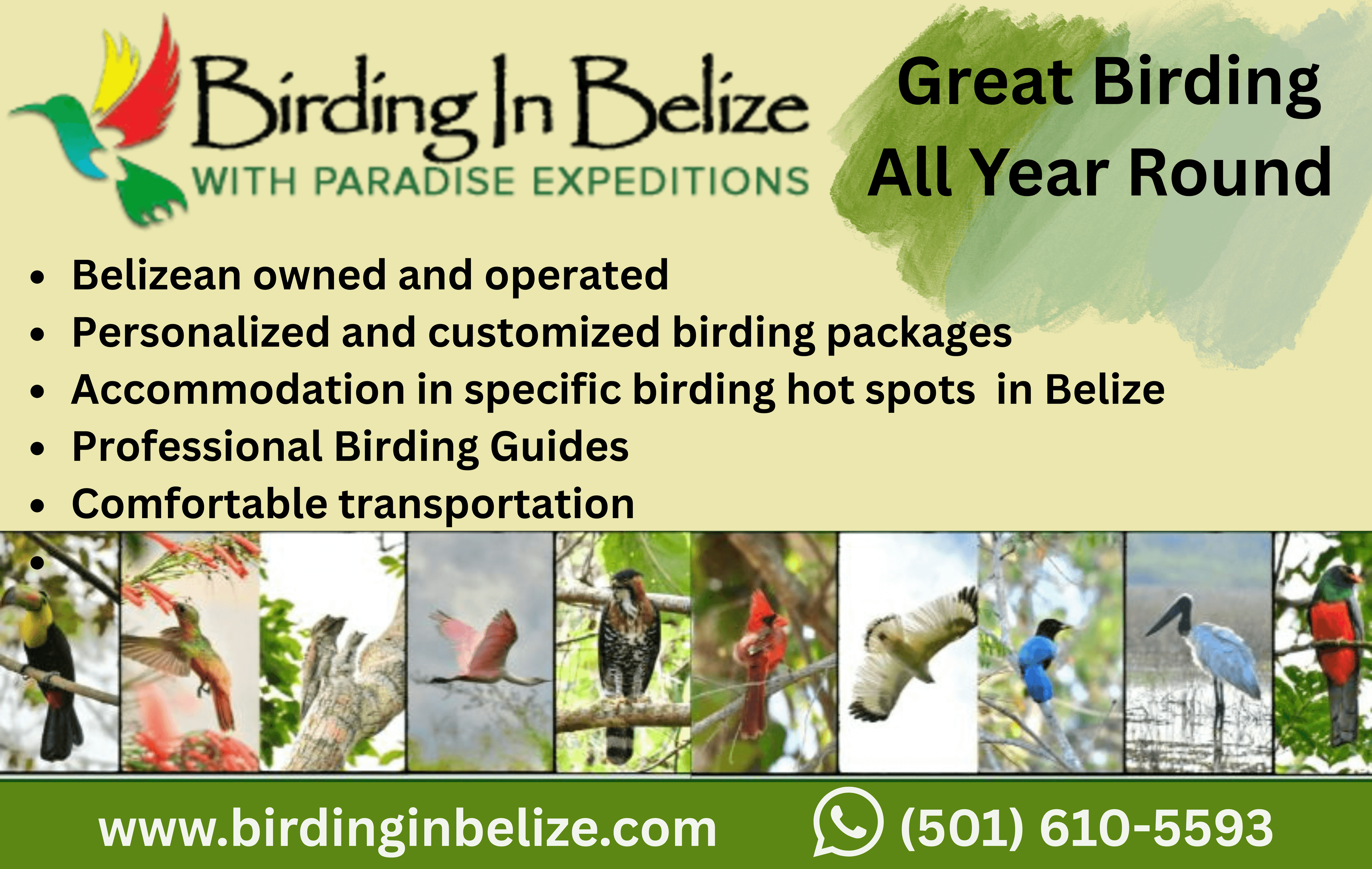 Promotional graphic for "Birding in Belize," highlighting birding packages, accommodations, professional guides, and comfortable transportation.