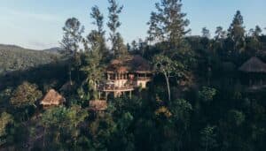Aerial view of a rustic wooden cabin surrounded by lush greenery and tall trees.