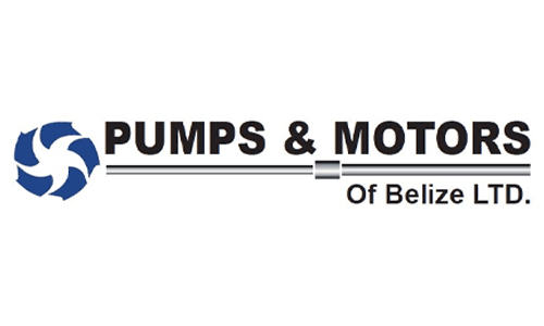 Logo of Pumps & Motors of Belize Ltd. featuring a stylized blue swirl.