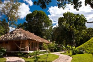 A thatched-roof house surrounded by lush greenery and blue skies.