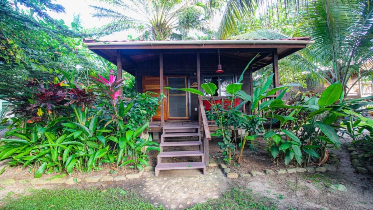Cozy wooden cabin surrounded by lush greenery and vibrant plants.