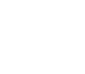 Logo of the Belize Hotel Association featuring a palm tree and sun design.