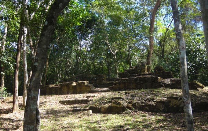 Ruins of an ancient structure surrounded by lush greenery.