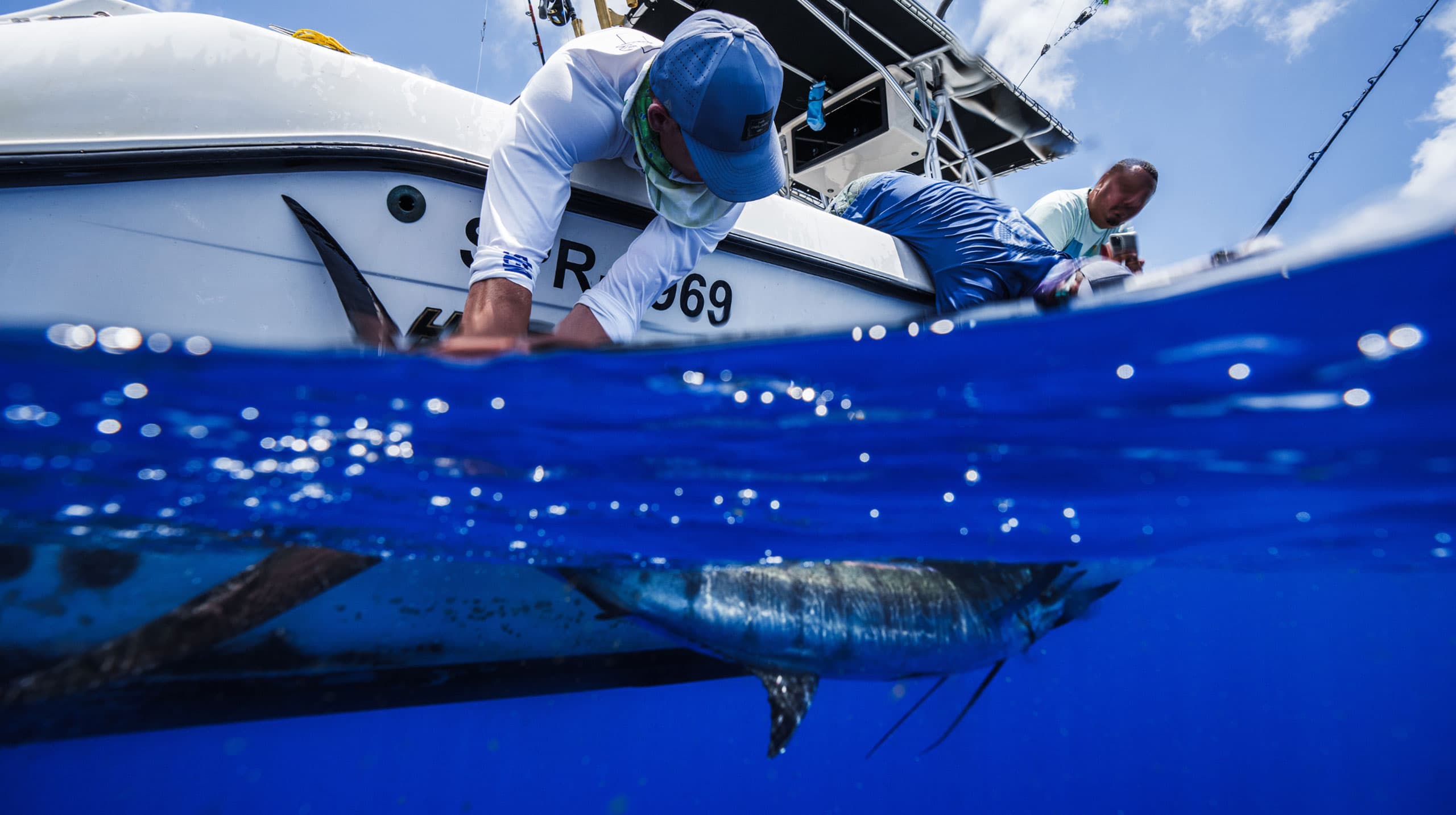 Two fishermen leaning over the side of a boat while handling a large fish underwater. Two fishermen leaning over the side of a boat while handling a large fish underwater.