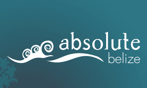 Logo of Absolute Belize featuring stylized waves and text in a modern font.