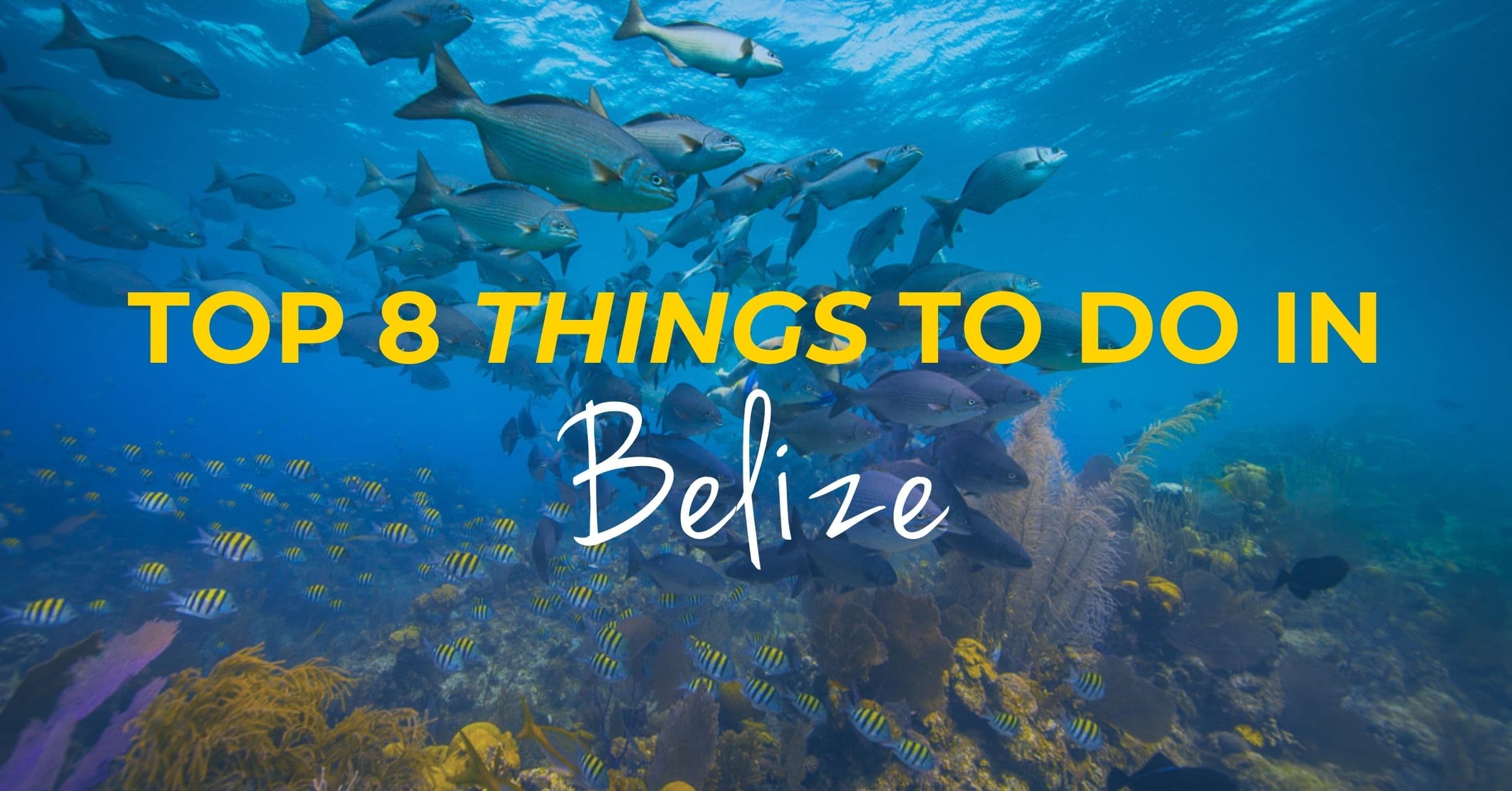 belize hotel association belize in 2026 belize hotel association belize in 2026