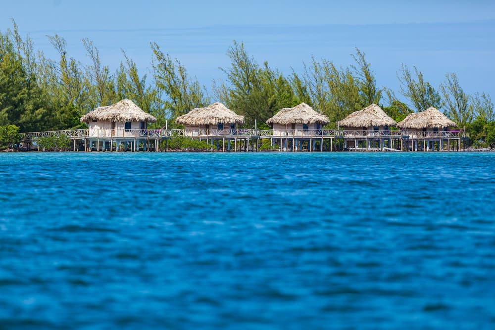 Thatch Caye Resort, a Muy'Ono Resort