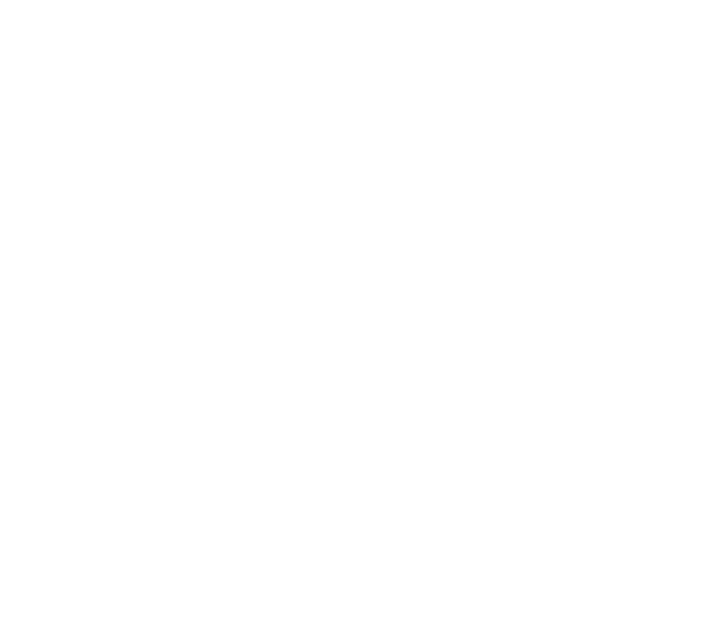 Belize Hotel Association Footer Logo